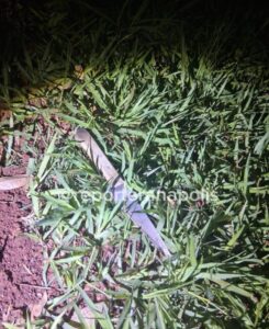 Tentativa de homicídio: homem é esfaqueado na Praça Lemos do Jardim Petrópolis