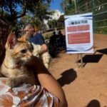 Prefeitura de Anápolis mantém vacinação antirrábica durante as férias de julho em dois postos fixos