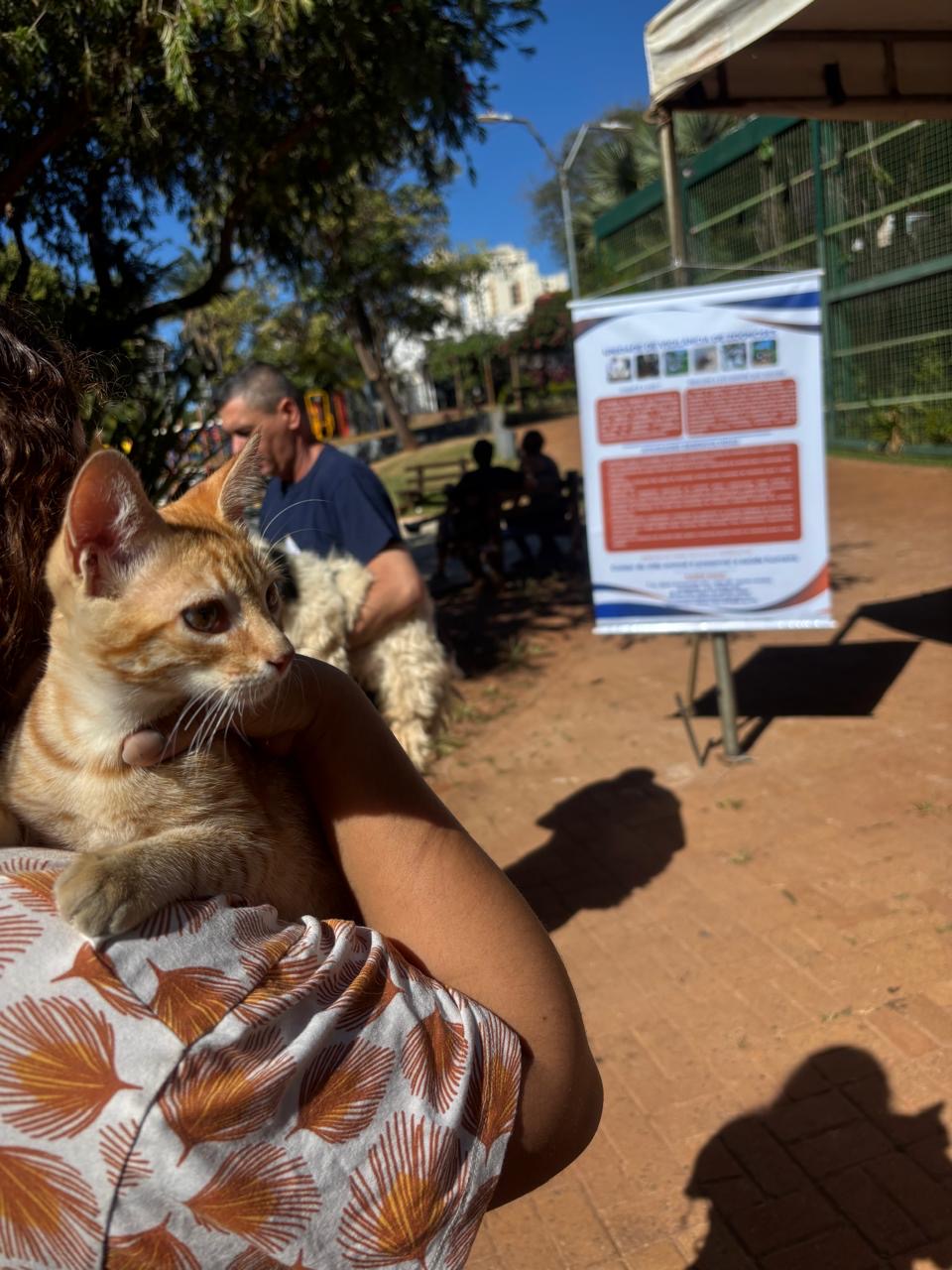 Foto reprodução