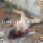MULHER É ENCONTRADA MORTA E NUA EM LOTE BALDIO EM NERÓPOLIS; SUSPEITO É PRESO PELA PM